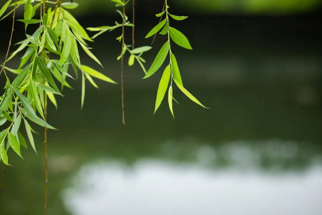 1673824818279671.jpg 微信圖片_20230102170421.jpg